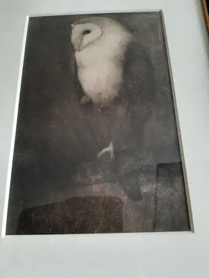 Jan Mankes - Originele Heliogravure Uil op Boomtak 1923 kopen? Bied vanaf 120!