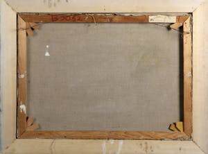 Paul van Eeden - Woonboten in de sneeuw kopen? Bied vanaf 99!