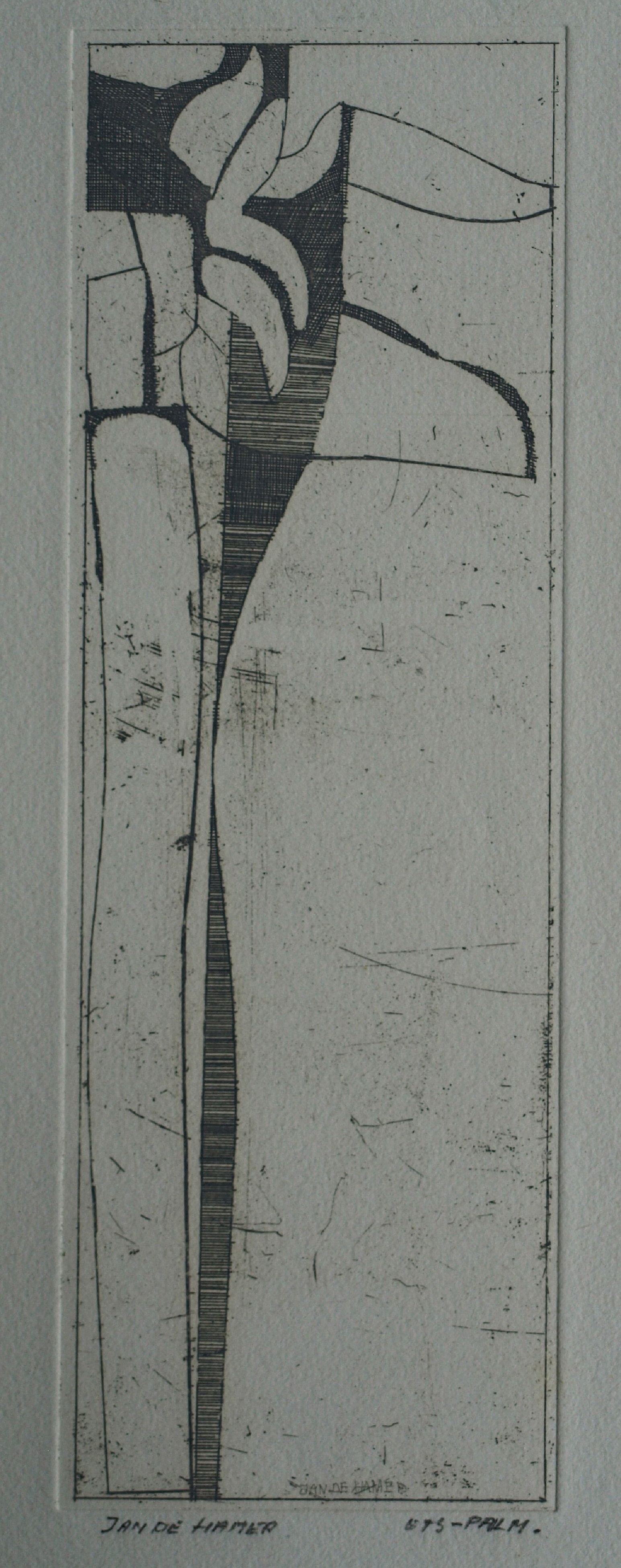 Jan de Hamer - Ets, Palm – gesigneerd – ca 1975 kopen? Bied vanaf 1!