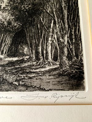 Jan van Rijsewijk - "Veluwe" kopen? Bied vanaf 35!