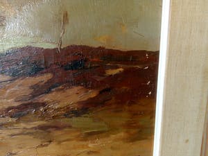 Xeno Munninghoff - Veluws Landschap kopen? Bied vanaf 100!