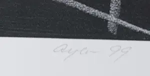 Frederick William Ayer - Break the plates Sarah kopen? Bied vanaf 1!