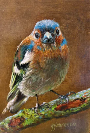 Hans Habraken - Vink op tak kopen? Bied vanaf 175!