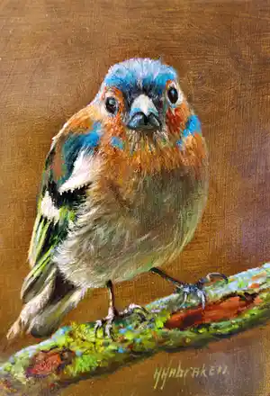 Hans Habraken - Vink op tak verkocht voor € 175!