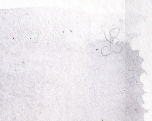 Paul Louis Van Den Bergh - Gemengde Techniek - Gesigneerd - 2017 kopen? Bied vanaf 25!