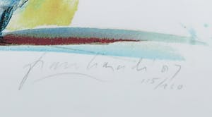 Frank Gude - Zeefdruk, Basketbal - Ingelijst kopen? Bied vanaf 1!