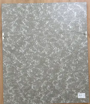 Jona Blom - Prodent Smile ! kopen? Bied vanaf 40!