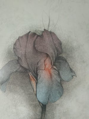 Bruno Bruni - Serie Florilegium (3 werken) kopen? Bied vanaf 120!