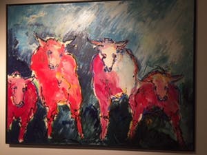 Arno Overdevest - Koeien kopen? Bied vanaf 2200!