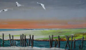 Franklin Meijer - Waddenkust met kokmeeuwen kopen? Bied vanaf 79!