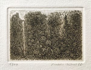 Simon Koene - Tropisch oerwoud met diepe kloof kopen? Bied vanaf 20!