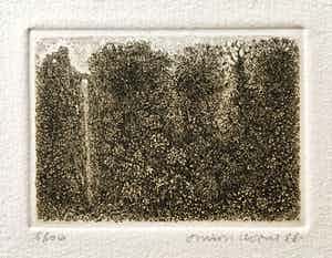 Simon Koene - Tropisch oerwoud met diepe kloof verkocht voor € 20!