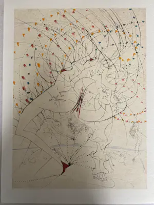 Salvador Dali - 12 stuks litho Venus aux Fourrures kopen? Bied vanaf 185!