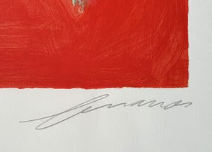 Eugene Brands - Litho: 'Exotische Vis'- Ingelijst kopen? Bied vanaf 290!