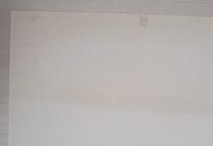 Curiosa - Italiaans filmaffiche: James Bond 007, Thunderball, Sean Connery (1965) kopen? Bied vanaf 1!