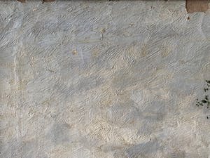 eugene fehdmer - Boswandeling kopen? Bied vanaf 145!