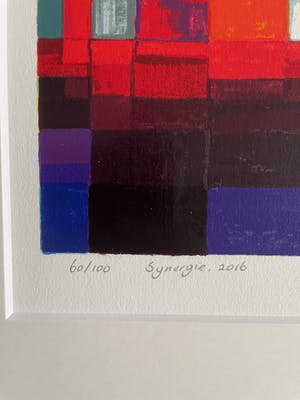 Ton Schulten - Synergie, kleine oplage kopen? Bied vanaf 275!