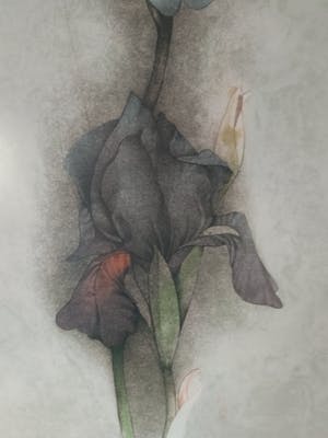 Bruno Bruni - Serie Florilegium (3 werken) kopen? Bied vanaf 120!