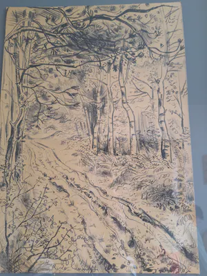 Rene De Lannoy - Natuur kopen? Bied vanaf 75!