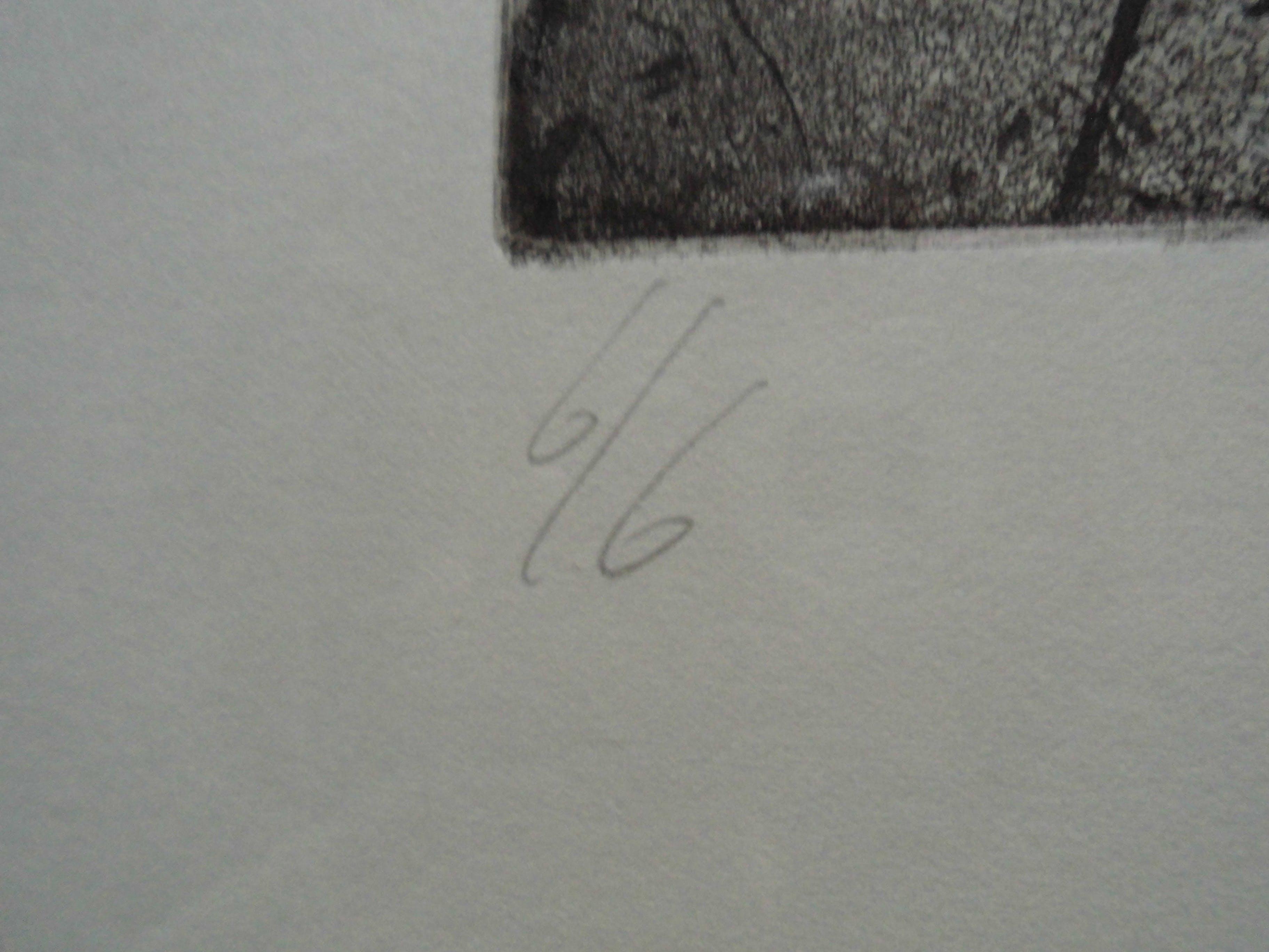 Jan Prins - Grafiek - Planten kopen? Bied vanaf 35!