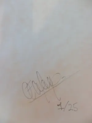 Niet of onleesbaar gesigneerd - Digitale Foto ZONDER TITEL Handgesigneerd kopen? Bied vanaf 1!