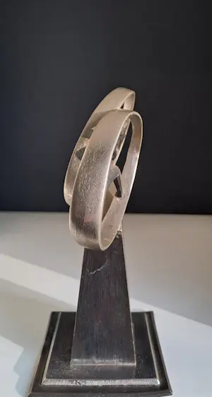 Corry Ammerlaan - Corry Ammerlaan van Niekerk kopen? Bied vanaf 40!