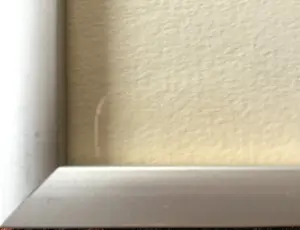 Arja van den Berg - Ets, Hondje hand gesigneerd 14/20 kopen? Bied vanaf 35!