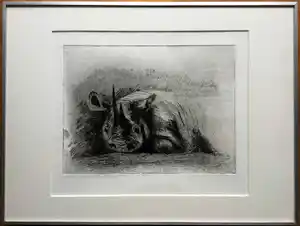 Hetty Heyster - witte neushoorn | zeldzame ets van gerenommeerd beeldhouwster - ingelijst verkauft für € 40!