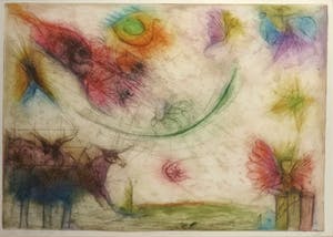 Sam Parabirsingh - Kleurenets, Anima Acradia - Ingelijst kopen? Bied vanaf 40!