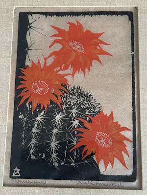 Arie Zonneveld - Bloeiende bolcactus kaufen? Bieten Sie von 90!