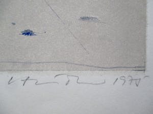 Niet of onleesbaar gesigneerd - Grote litho, gesigneerd kopen? Bied vanaf 1!