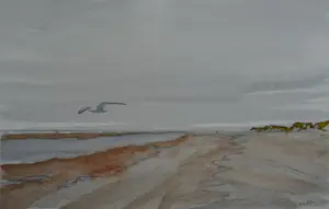 Franklin Meijer - Terschelling - Strand en de Stryp - 2 x kavel kopen? Bied vanaf 50!