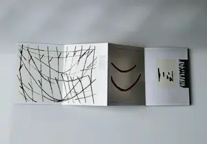 Ronald Noorman - Galerie Nouvelles Images 2011 "Solace" 24 litho's - zeer kleine gesign. oplage! kopen? Bied vanaf 285!