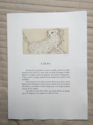 Leonor Fini - Ets 1976 kopen? Bied vanaf 65!