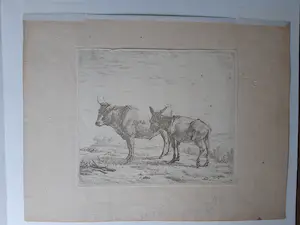 Karel Dujardin - Os en ezel kopen? Bied vanaf 150!