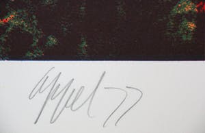 Karel Appel - "Saturday-2, - A Summerevenings slumber" kopen? Bied vanaf 125!