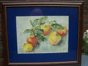 Cornelia Arnold-Mees - Sitlleven met appels kopen? Bied vanaf 40!