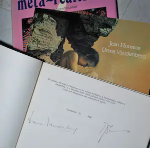 Diana Vandenberg - (metarealisme) - 4 boeken, 1x gesigneerd/genumm. door Vandenberg en Stellingwerf kopen? Bied vanaf 40!