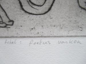 Hanny Ramaer - Ets "Foetus varken" kopen? Bied vanaf 30!