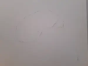 Melle Oldeboerrigter - Ter gelegenheid van Melle,s 60e verjaardag kopen? Bied vanaf 45!