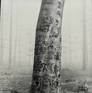 Ralph Janowski - 2x zeefdruk kopen? Bied vanaf 32!