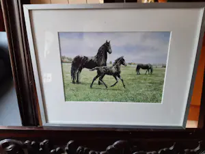 Wiebe A van der Zee - Zeefdruk, Paarden. kopen? Bied vanaf 40!