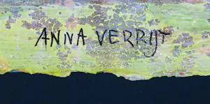 Anna Verrijt - Zeefdruk, Zonder titel - Ingelijst kopen? Bied vanaf 150!