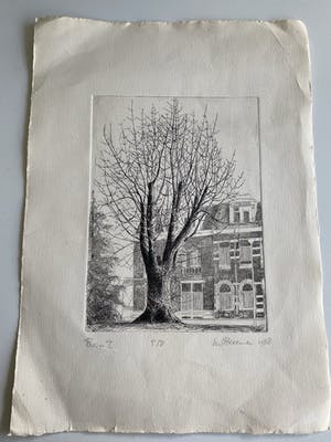 Niet of onleesbaar gesigneerd - Boom I kopen? Bied vanaf 1!