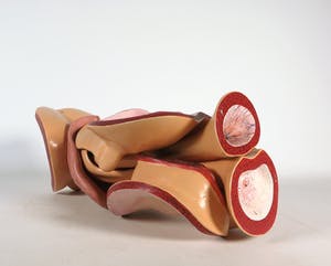 Merijn Bolink - Beschilderd polyester, The Pentasexual System (incl. gesigneerd boek) kopen? Bied vanaf 50!