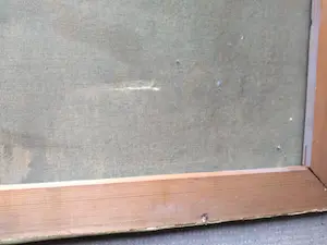 Hans Lenteman - Boerenleven kopen? Bied vanaf 50!