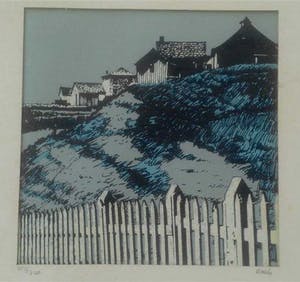 Leo Kools - Ierland duinenkust kopen? Bied vanaf 19!