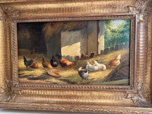 Jef Van Leemputten - Kippen in de staal kopen? Bied vanaf 400!