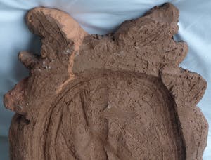 Niet of onleesbaar gesigneerd - Aardewerk (chamotte) en verf, ‘Hoofd’ – hoogte 44 cm kopen? Bied vanaf 1!