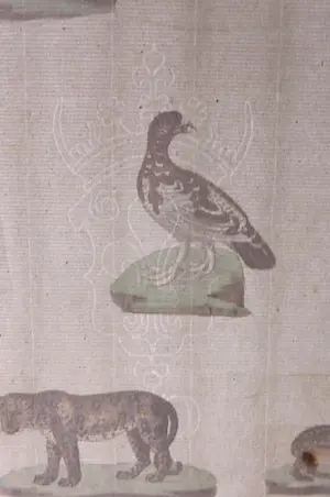 Harrison & Co. - Lot van twee handgekleurde gravures, Vogels, vissen en zoogdieren kopen? Bied vanaf 1!